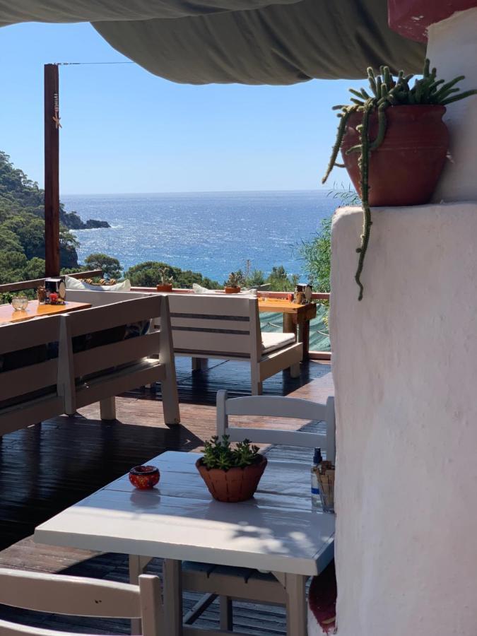 Bamboo Bungalow With Sea View In Kabak Bay, Oeluedeniz Fethiye Exterior foto